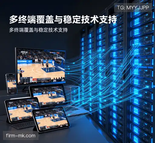 引领行业的原因